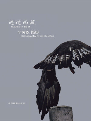 cover image of 进过西藏